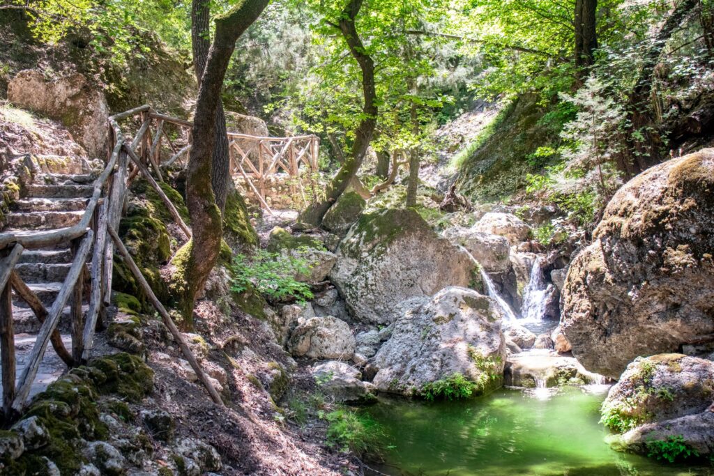 family experiences in Rhodes
